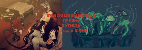 бошки Вяземский