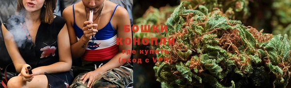 бошки Вяземский