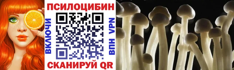 Галлюциногенные грибы ЛСД  как найти закладки  Чкаловск 